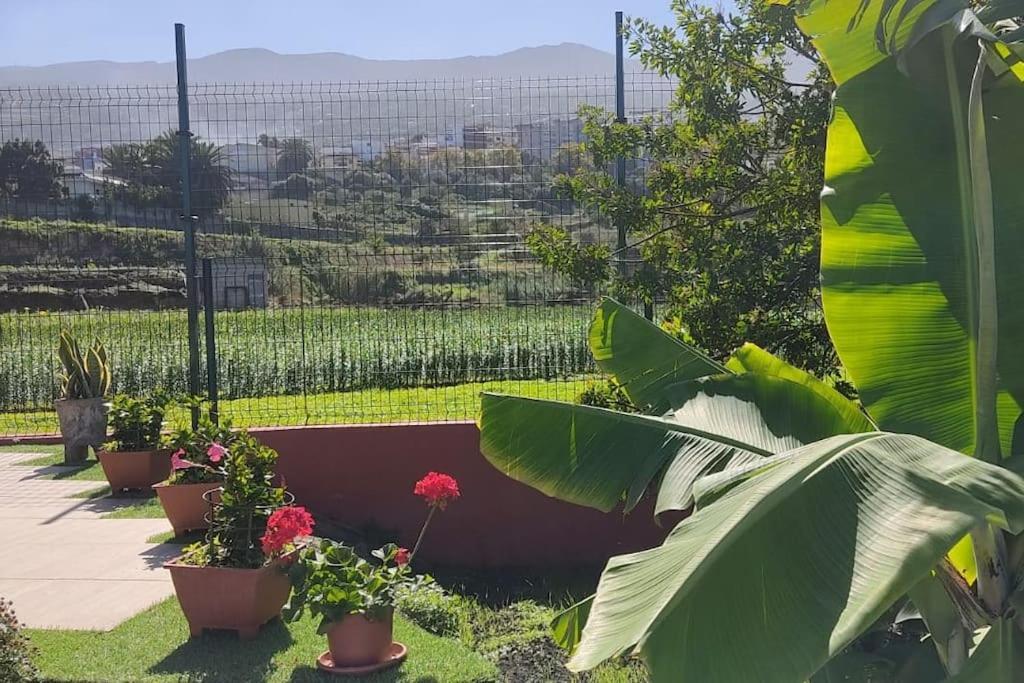 Casa Mamatina, En Los Realejos Buitenkant foto