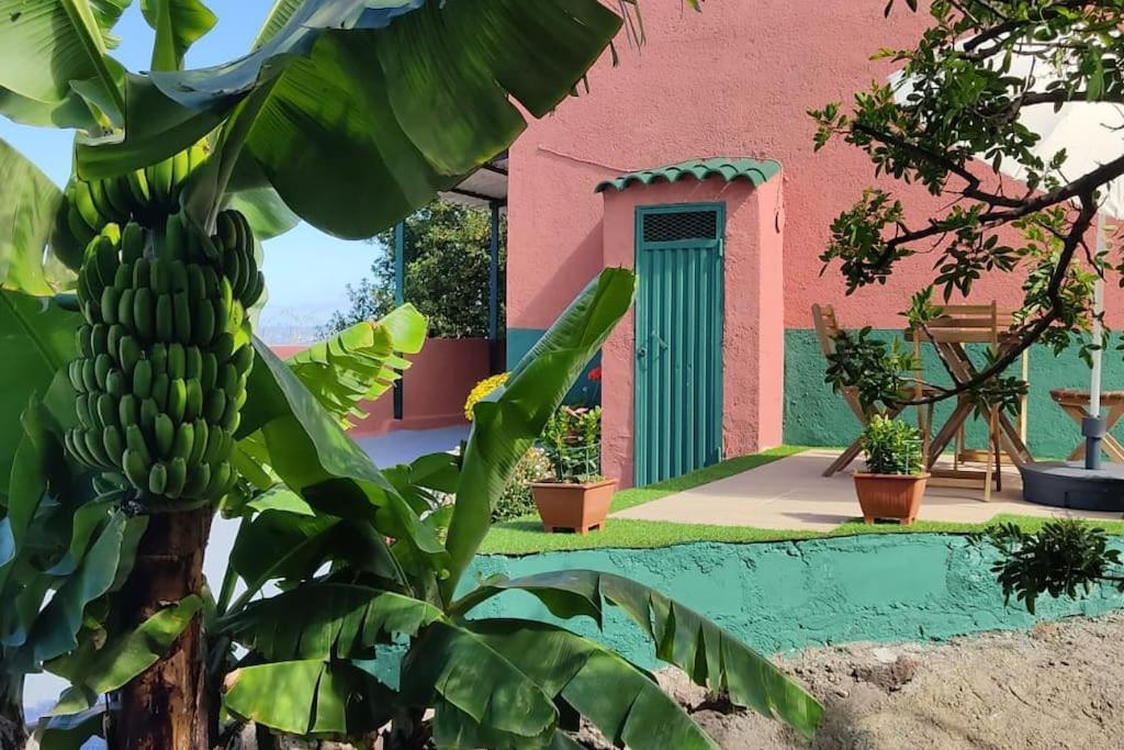 Casa Mamatina, En Los Realejos Buitenkant foto